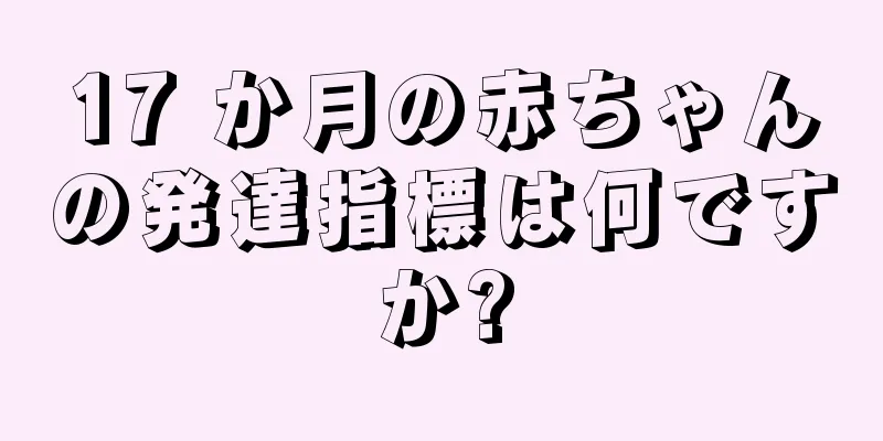17 か月の赤ちゃんの発達指標は何ですか?