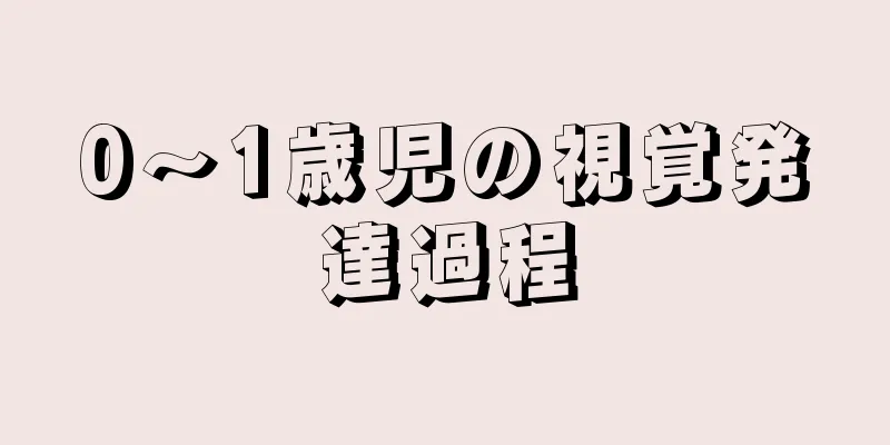 0～1歳児の視覚発達過程