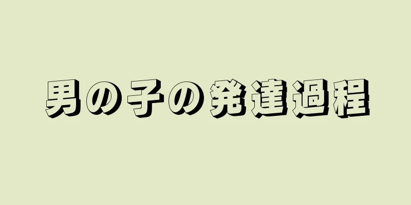 男の子の発達過程