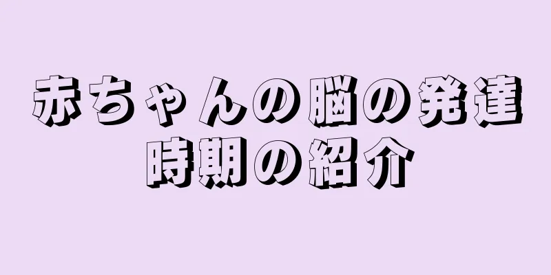 赤ちゃんの脳の発達時期の紹介