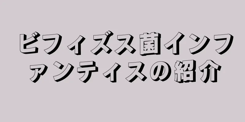 ビフィズス菌インファンティスの紹介