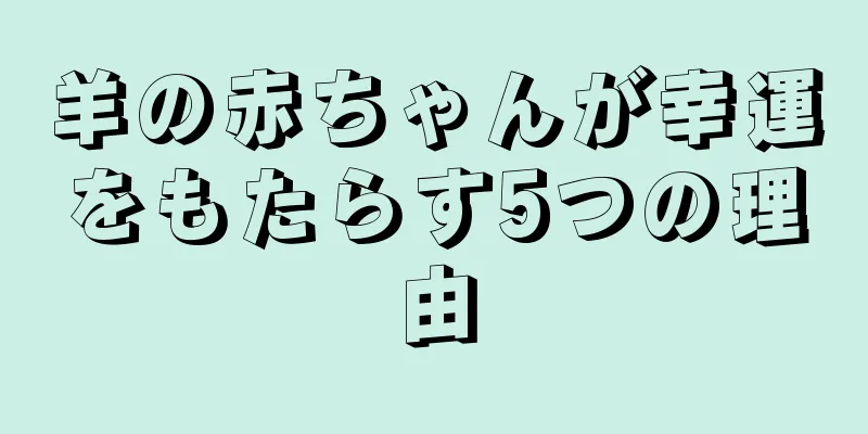 羊の赤ちゃんが幸運をもたらす5つの理由