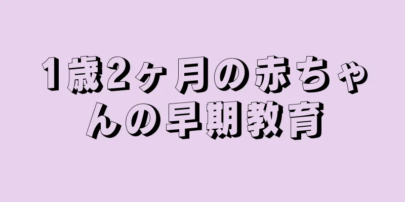 1歳2ヶ月の赤ちゃんの早期教育